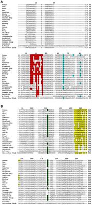 Evolution of C-Reactive Protein